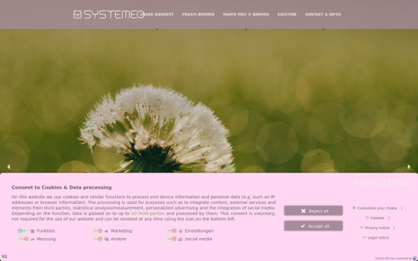 www.systemeo.de