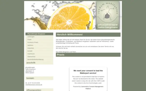 bergmann-physio.de
