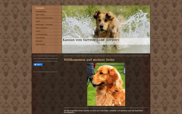 www.dark-golden.de