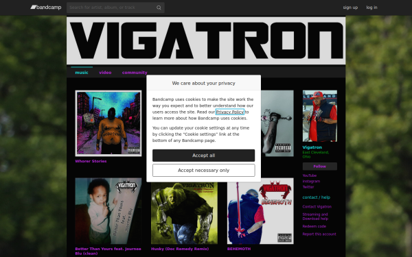 vigatron.com