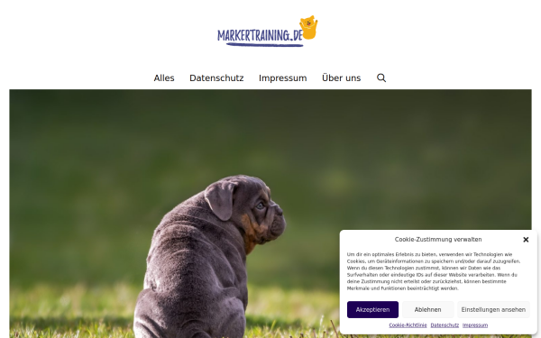 markertraining.de