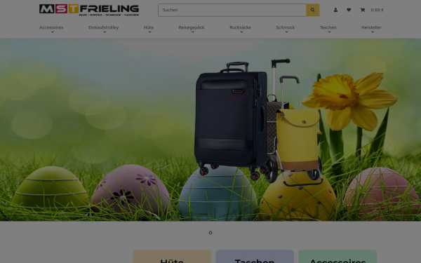 mst-frieling.de
