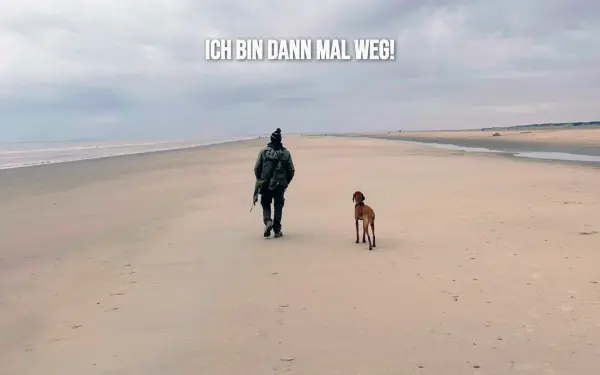 www.de-sousa.de