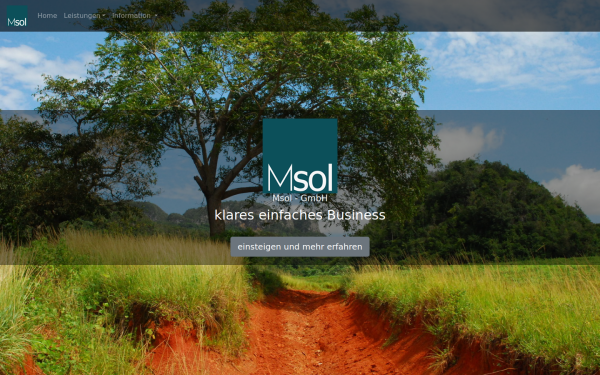 www.msol.at