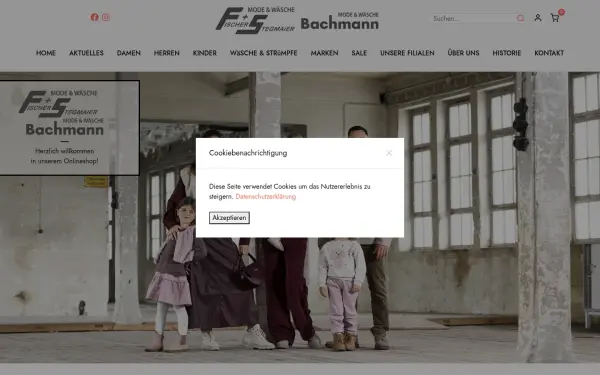 fischer-stegmaier.de