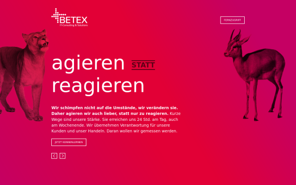www.betex.de