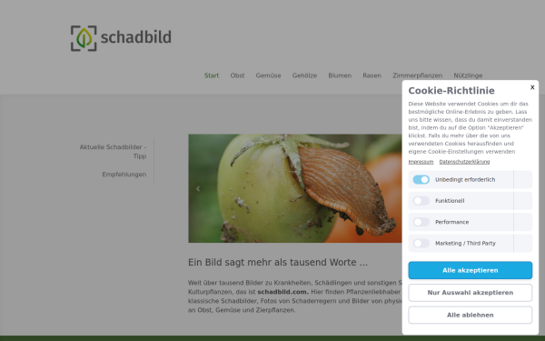 www.schadbild.com