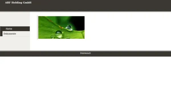 arf-holding.de