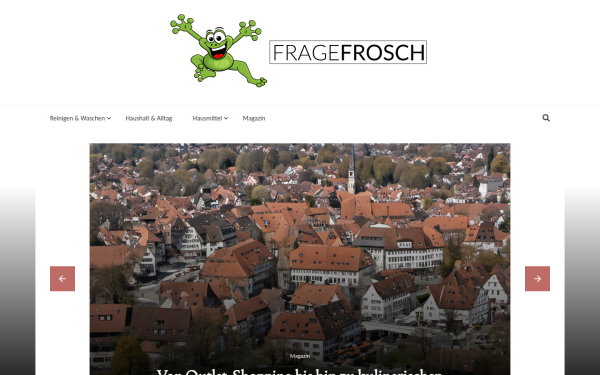 fragefrosch.de
