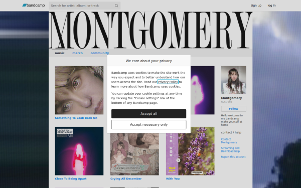 montgomerynoise.bandcamp.com