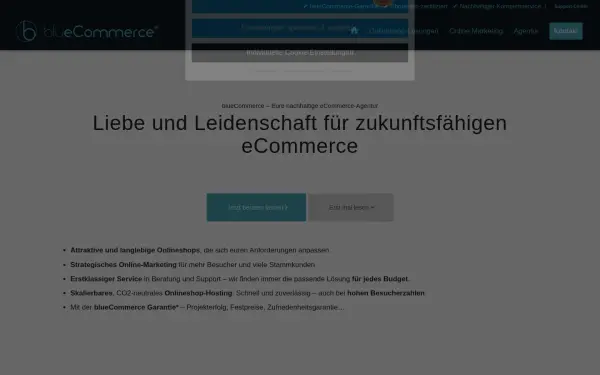 www.bluecommerce.de