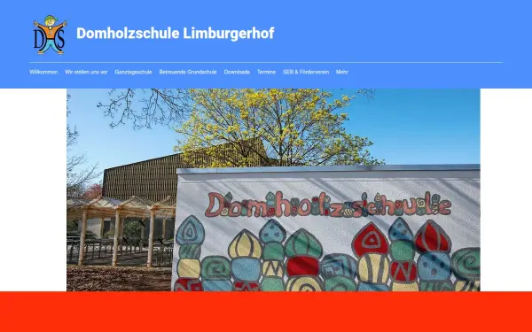 www.domholzschule.de