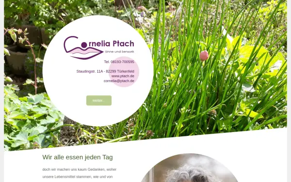 ptach.de