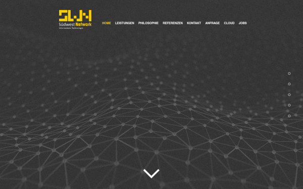 www.swn-it.de