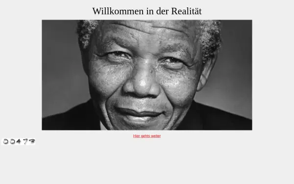 dieter-steih.de