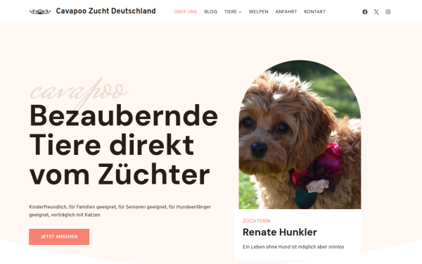 cavapoo-kaufen.de