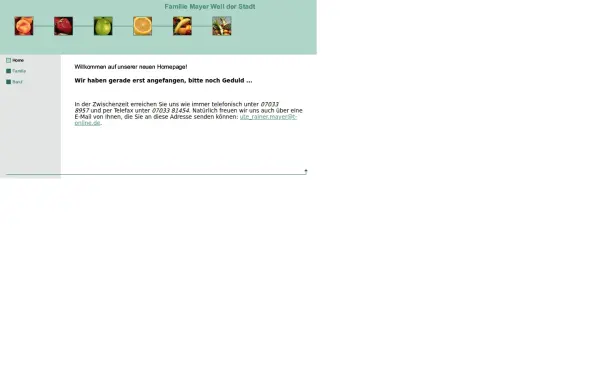 mayer-wds.de