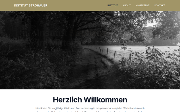 www.institut-strohauer.de