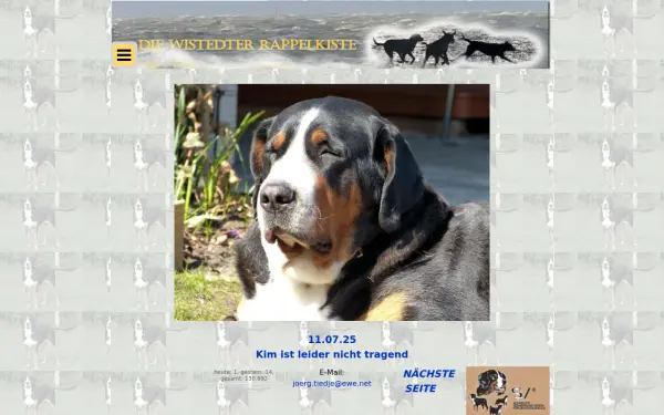 grosse-schweizer-sennenhunde.de