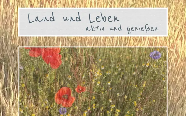 matthess-sanne.de
