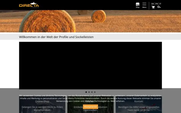 www.directhandling.ch