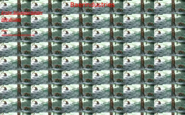 manu-baer.de