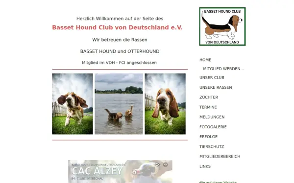 www.basset-hound.de