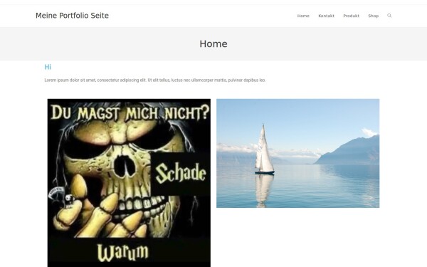 brandl-design.de