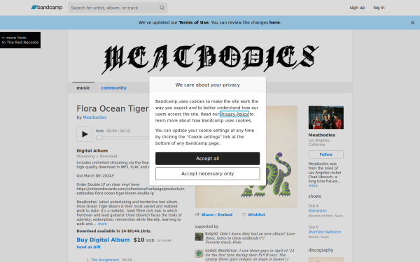 meatbodies-band.bandcamp.com