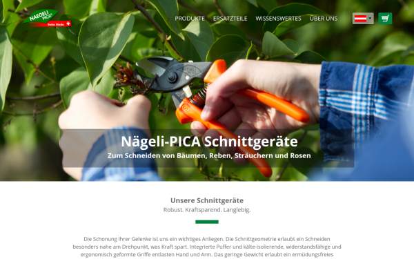 www.naegeli-pica.at