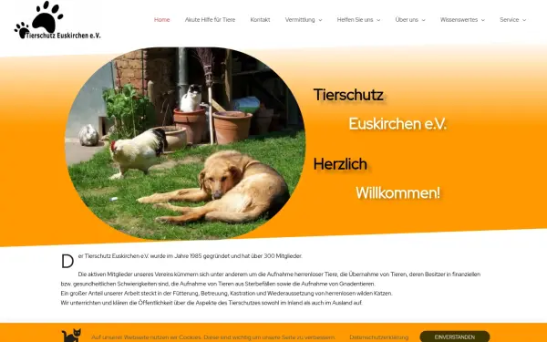 tierschutz-euskirchen.de