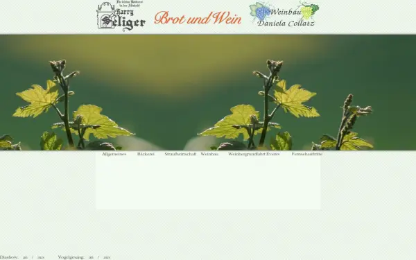 harry-seliger.de