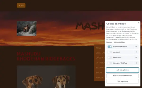 www.mashudu.de