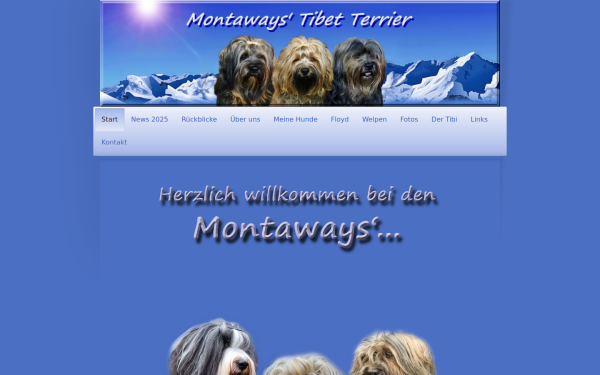 www.utes-tibet-terrier.de