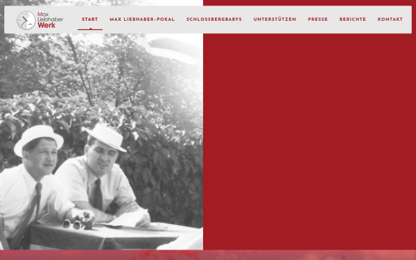 www.mlwerk.de