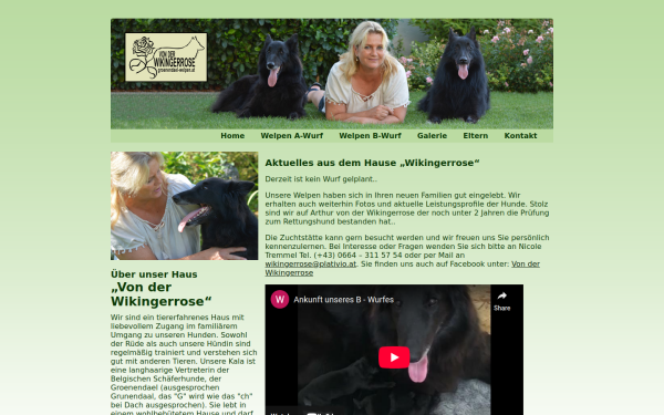 groenendael-welpen.at
