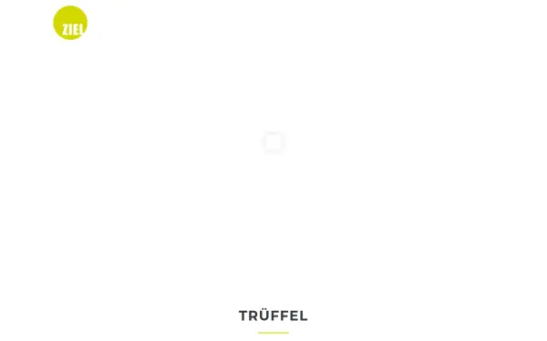 ziel-agentur.de