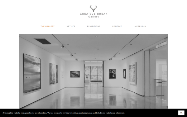 galeriemitze.com