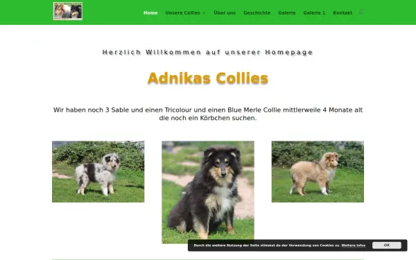 www.adnikas-collie.de