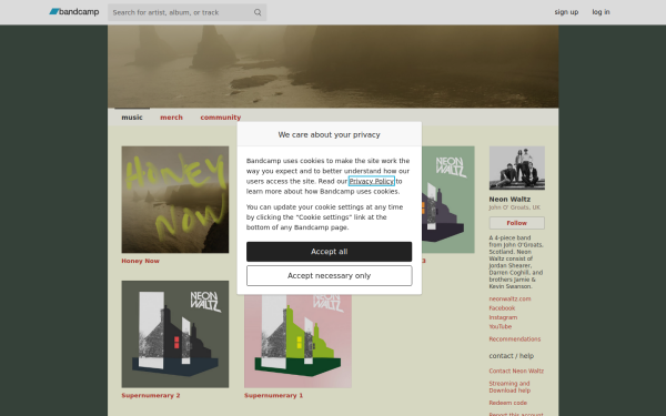neonwaltz1.bandcamp.com