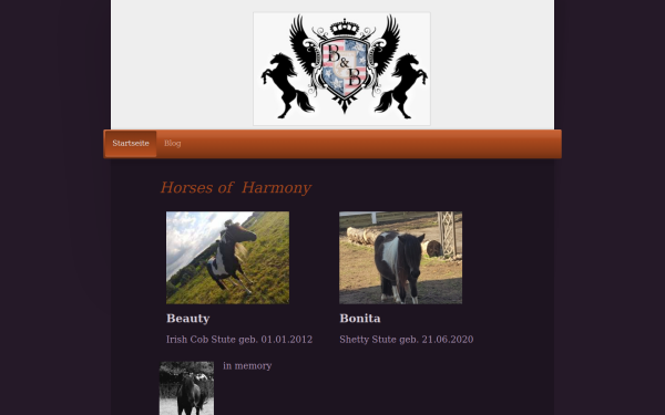 www.mgrommes.de