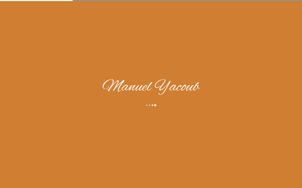 manuelyacoub.at