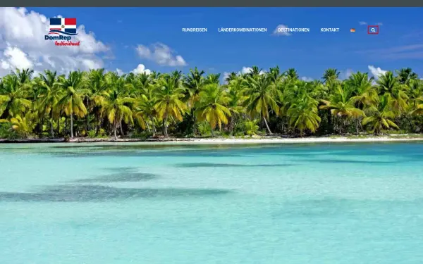 domrep-individual.com