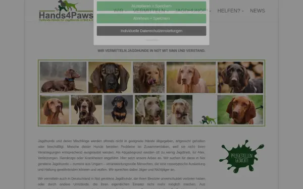 www.hands4paws.de