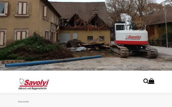 savolyi.de