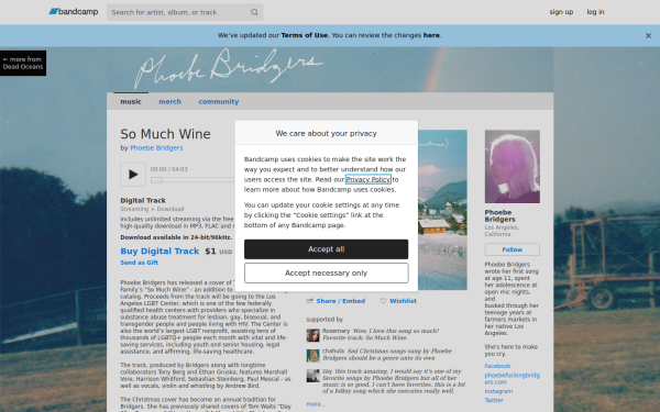 phoebebridgers.bandcamp.com