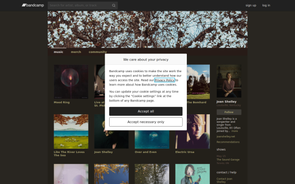 joanshelley.bandcamp.com