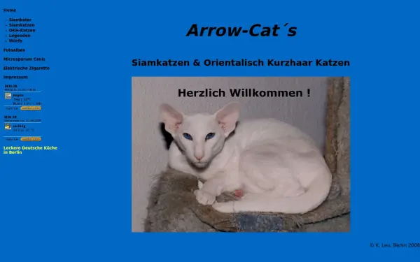 arrowcats.de