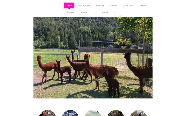 www.gurgltal-alpakas.at