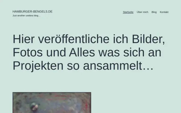 hamburger-bengels.de